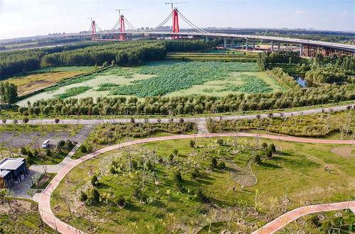 黄河公园爆料视频播放,揭秘公园美景与神秘事件 第2张 黄河公园爆料视频播放,揭秘公园美景与神秘事件 第2张